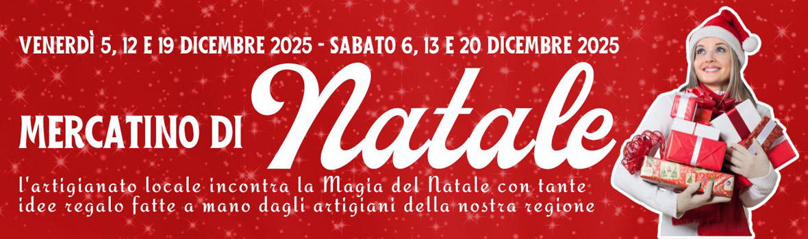 Mercatino di Natale del Centro Breggia