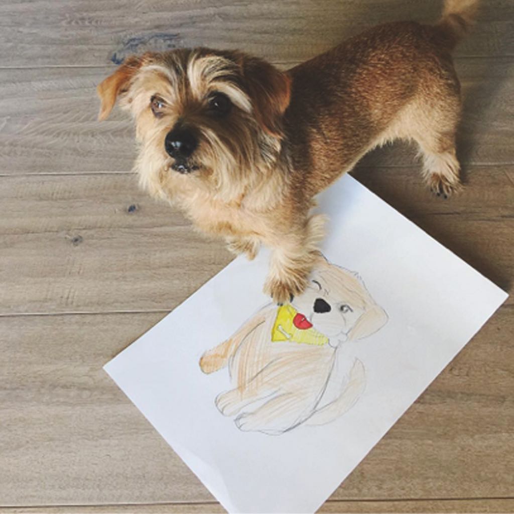 Sette domande ad Angela Donelli per conoscere meglio BanniBoo.