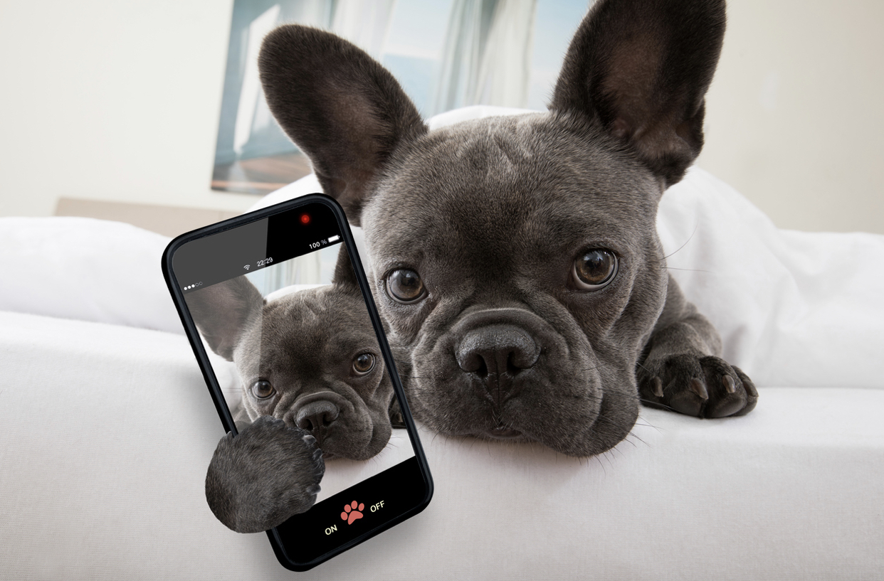 Come proteggere i dati sul proprio cellulare