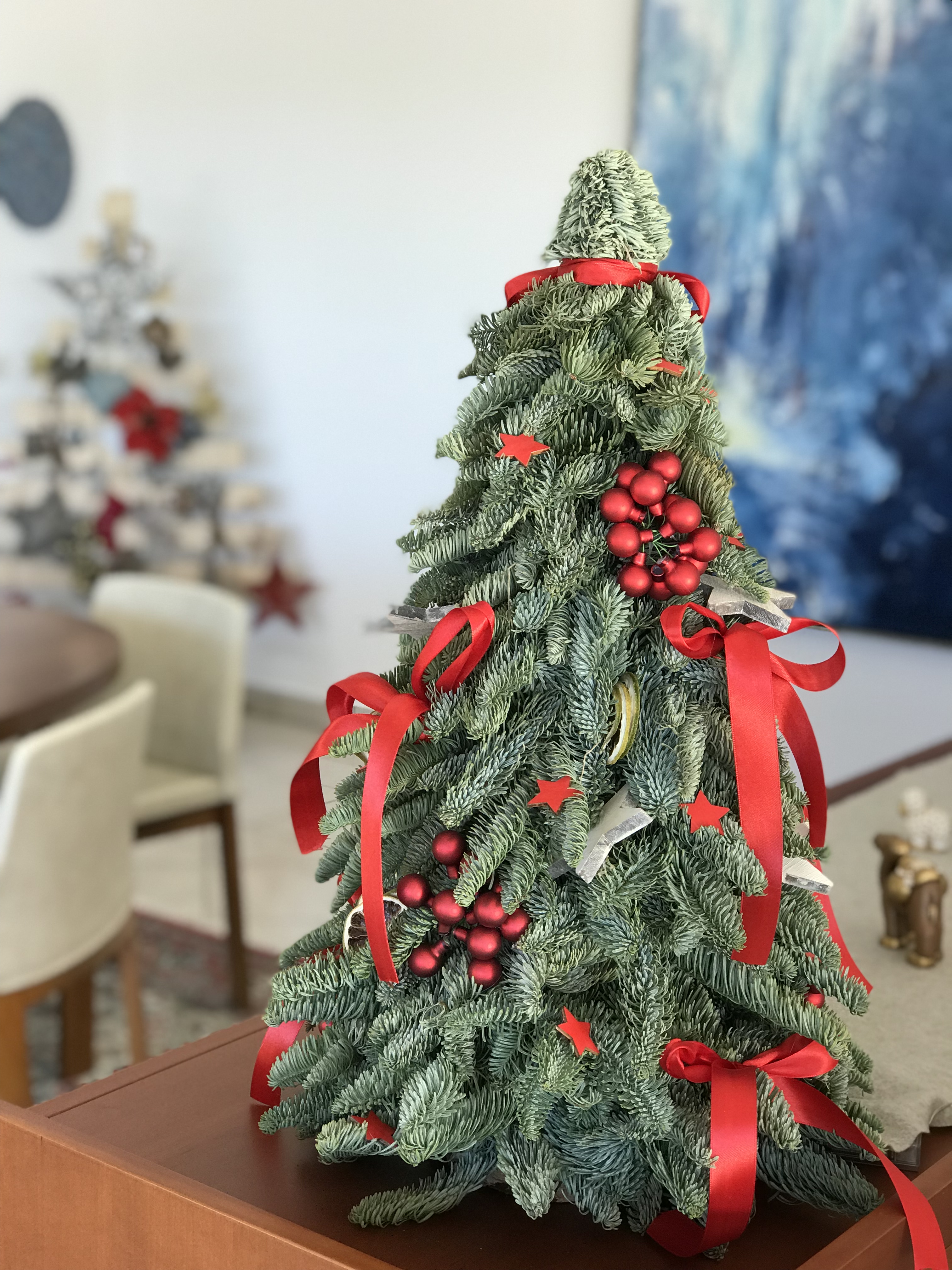 Decoriamo l'albero di Natale!