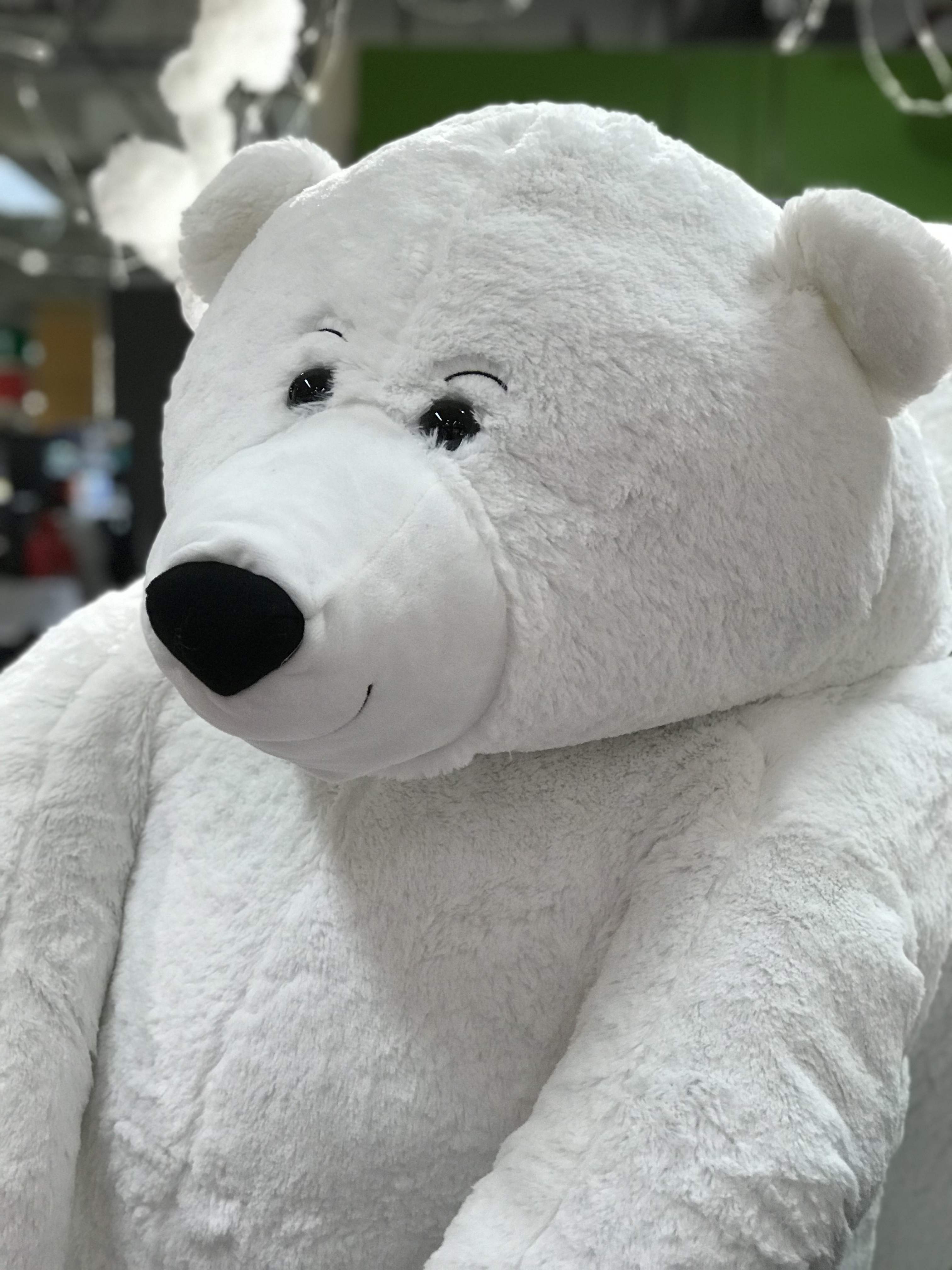 Dolci, teneri pupazzoni di peluche