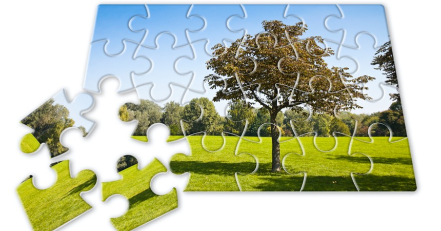 Puzzle ... alla ricerca della tessera mancante