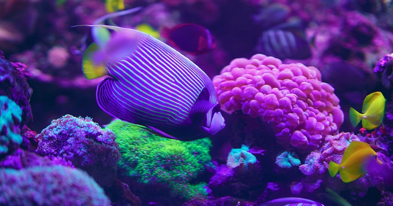 Marsa Alam con Tour and Tour